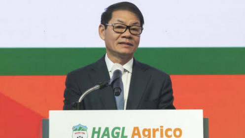 HAGL Agrico lần thứ 3 lỗ nghìn tỷ trong 6 năm, dự kiến 2022 hạch toán lỗ 2.400 tỷ đồng chi phí chuyển đổi vườn cây