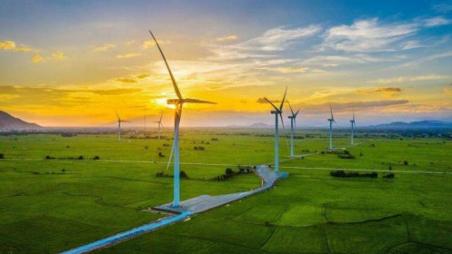 Cơ điện lạnh REE góp 870 tỷ đồng lập công ty điện gió tại Trà Vinh