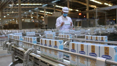 VINAMILK – Quá khứ, hiện tại và tương lai (phần 2)