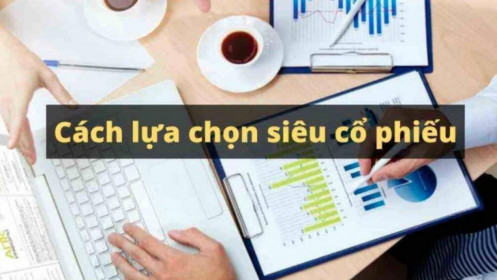 Chiến lược lựa chọn những cổ phiếu thành công