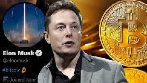 Elon Musk hé lộ danh tính cha đẻ của Bitcoin?
