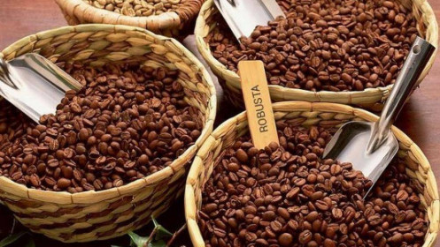 Phân tích nhóm nguyên liệu công nghiệp ngày 16/03/2022: Giá cà phê trong nước tiếp tục chịu áp lực