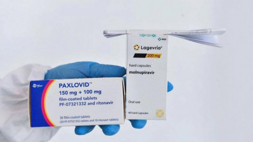 35 công ty được phép sản xuất thuốc kháng virus Covid-19 giá rẻ của Pfizer