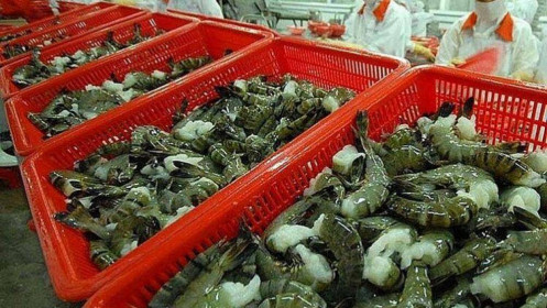 Xuất khẩu tôm dự báo tăng trưởng 40% trong tháng 3/2022