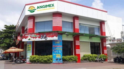 Angimex (AGM) thông qua phương án phát hành 23,6 triệu cổ phiếu trả cổ tức và thưởng cổ đông