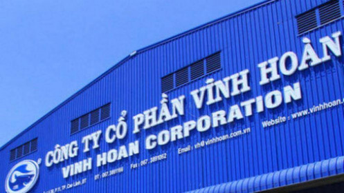 VHC – Tăng trưởng mạnh 2022