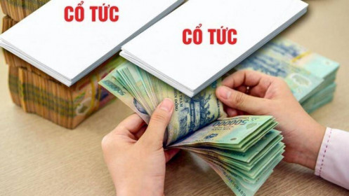 Khó trông chờ cổ tức bằng tiền tươi thóc thật