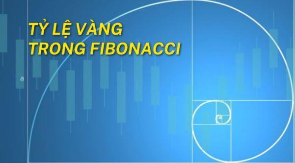 Fibonacci trong chứng khoán là gì và những sai lầm cần tránh