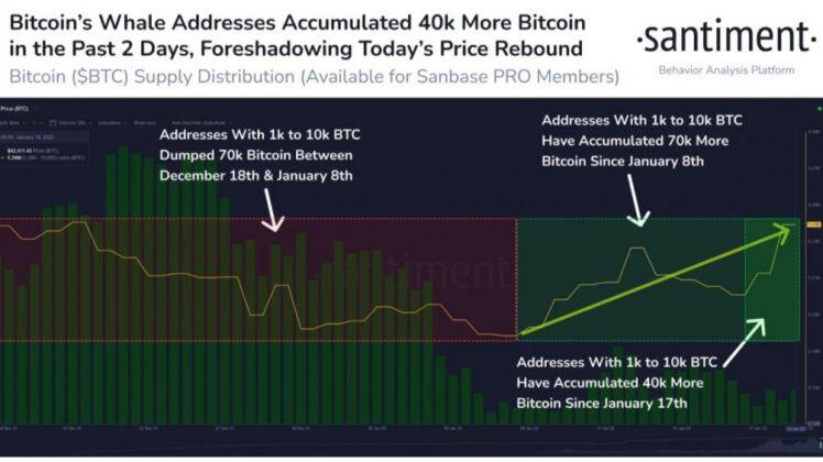 Thị trường rối loạn, "cá voi" âm thầm "gom hàng" thêm 40.000 Bitcoin
