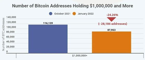 Gần 30.000 triệu phú Bitcoin bị xóa sổ chỉ trong 3 tháng