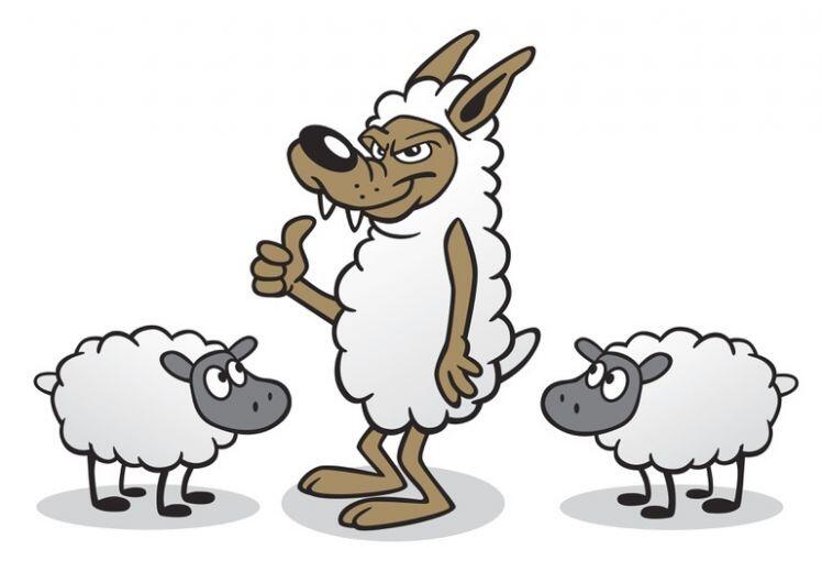 5 lời khuyên vàng dành cho F0 để không biến thành "cừu non"