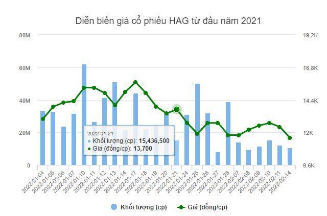 HAG ‘nằm sàn’ với dư bán sàn đến hơn 15 triệu cổ phiếu