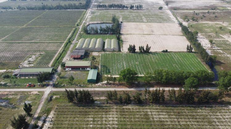 Dự án nông nghiệp công nghệ cao của FLC ở Hà Tĩnh có nguy cơ ‘chết yểu’