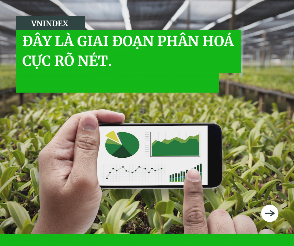 Chúc ace ngày mới tốt lành!. Nhận định về đoạn này:. KEY: phân hoá rõ nét, dòng tiền vào dòng nào dòng  ...