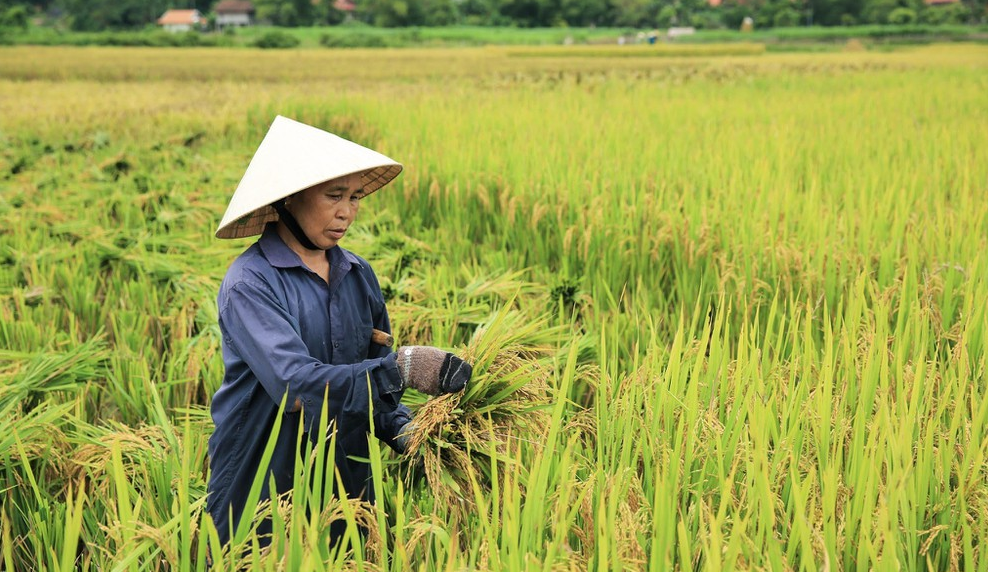 "Cần biện pháp, phương thức hỗ trợ thị trường chứng khoán" Chủ tịch nước Nguyễn Xuân Phúc phát biểu  ...