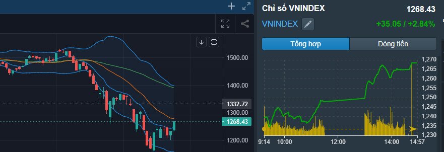 FTD- Những điều ít người nói cho bạn