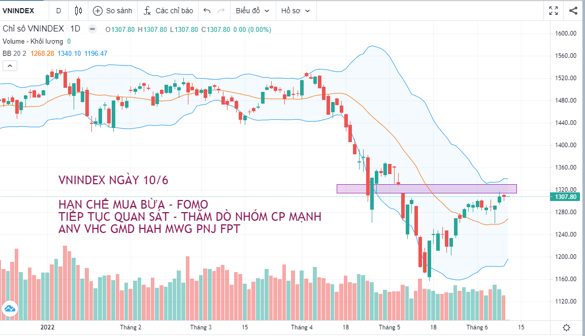 BẢN TIN THỊ TRƯỜNG NGÀY 10/6:TEST 1300 - INDEX PHÂN HOÁ. Thị trường có phiên giao dịch biến động hẹp  ...