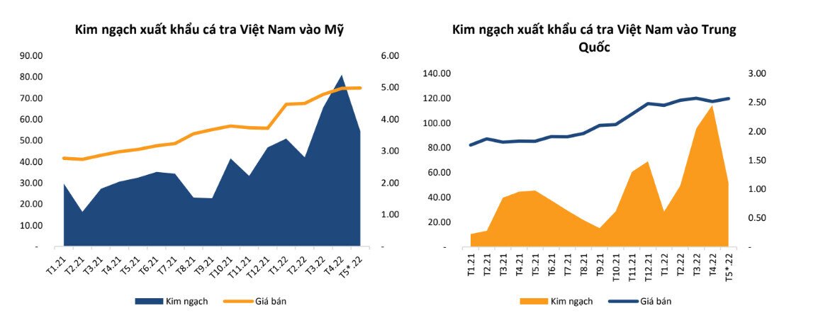 ANV- Kỳ vọng từ xuất khẩu vào Mỹ