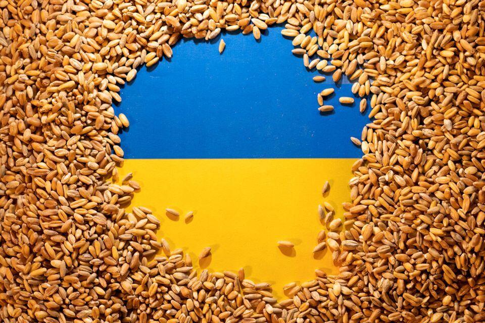 EU tìm cách giải phóng ngũ cốc Ukraine bị kẹt