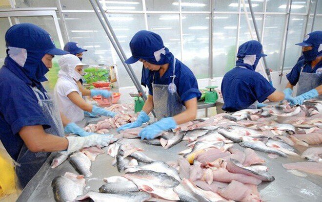 Cổ phiếu ANV Thủy sản Nam Việt còn hấp dẫn không?