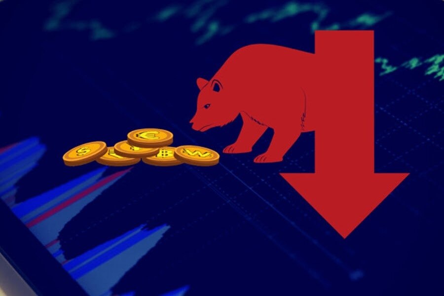 Thị trường con gấu- Nhà đầu tư nên làm gì để vượt qua giai đoạn này? (Phần 2)