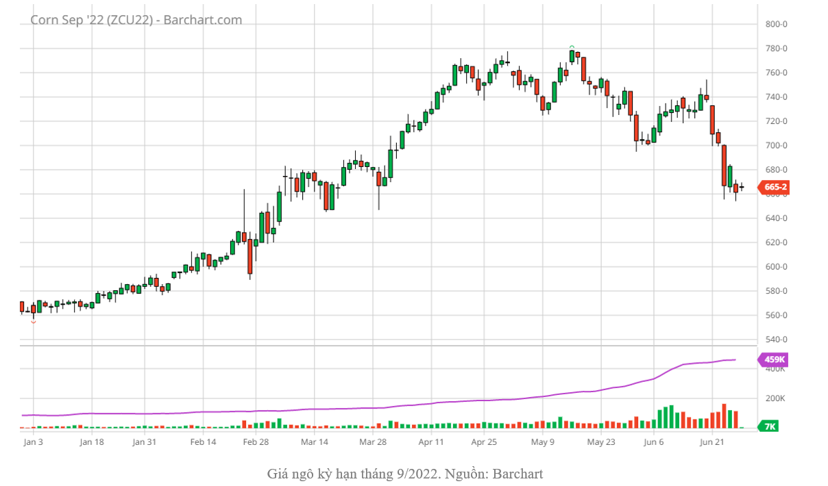 OPEC+ cắt giảm thặng dư dầu thô