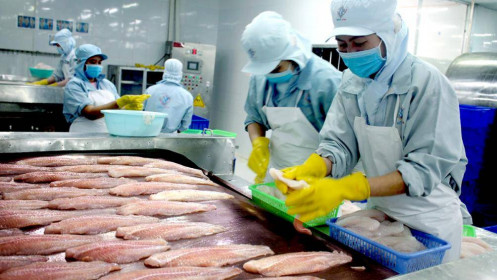 Trung Quốc đột nhiên mua lượng khổng lồ một loài thủy sản của Việt Nam