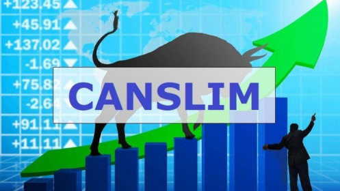 Đầu tư hiệu quả và đơn giản theo phương pháp CANSLIM!