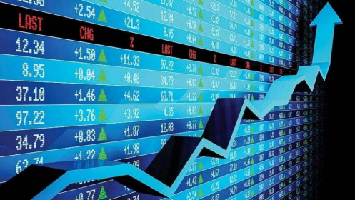Có những thành phần nào tham gia trên thị trường?