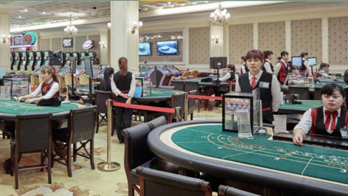 Chủ casino lớn nhất Quảng Ninh có thể lỗ 4 năm liên tiếp