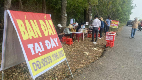 Cò đất, bát nháo thông tin