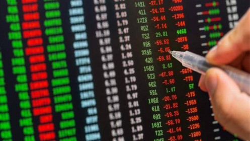 Cổ phiếu ngành nào đáng xuống tiền cho nửa cuối năm 2022?