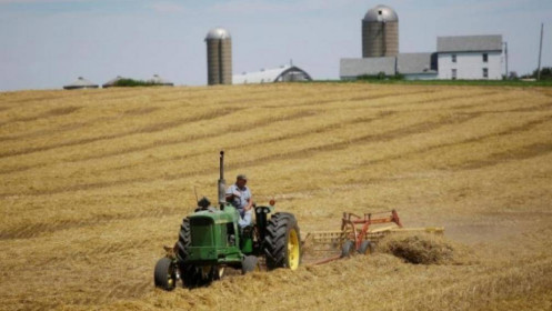 Lạm phát kỷ lục giáng đòn vào nông dân Mỹ