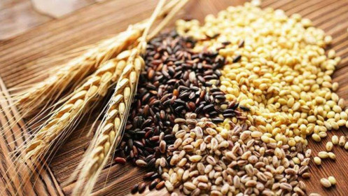 Ukraine có thể thiếu hạt giống cho cây ngũ cốc trong nhiều năm