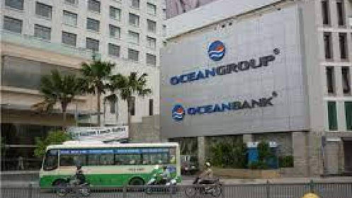 Loạt lãnh đạo Ocean Group từ nhiệm