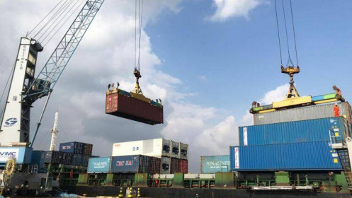 Tổng công ty Hàng hải muốn lập đội tàu container quốc tế