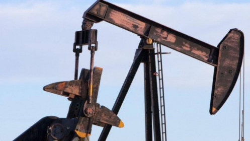 Tổng thống Mỹ sẽ kêu gọi OPEC tăng sản lượng dầu