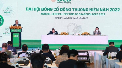 Chủ tịch OCB nói về khoản vay của FLC và bà Nguyễn Phương Hằng