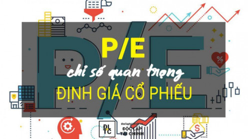 Tại sao bạn lỡ bỏ các siêu cổ phiếu chỉ vì P/E cao?