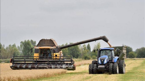 Tổng thống Zelensky: Ukraine không thể xuất khẩu hàng chục triệu tấn ngũ cốc