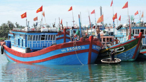 Trung Quốc đơn phương cấm đánh bắt cá trên Biển Đông, Hội Nghề cá Việt Nam phản đối kịch liệt