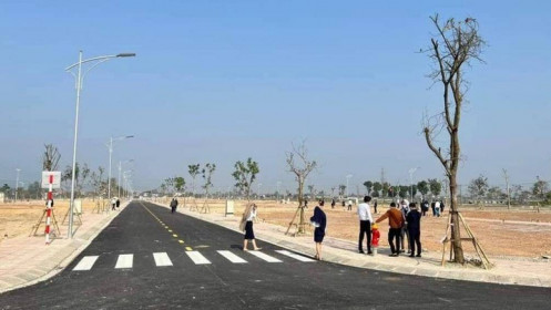 Sóng thị trường tập trung vào đất nền