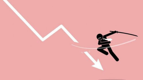 Quỹ lớn cũng "lỗ to" từ đầu năm 2022