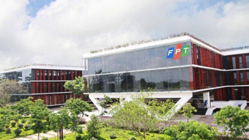 Nhóm cổ đông Dragon Capital trở thành cổ đông lớn tại FPT
