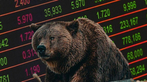 Vài suy nghĩ về thị trường "Gấu"