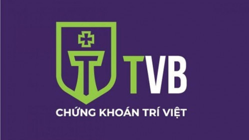 Chứng khoán Trí Việt: Bà Trần Thị Rồng được bổ nhiệm làm TGĐ