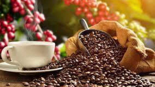Thị trường nông sản tuần qua: Giá cà phê và hồ tiêu biến động nhẹ