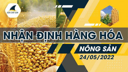 Nhận định thị trường nông sản ngày 24/05/2022