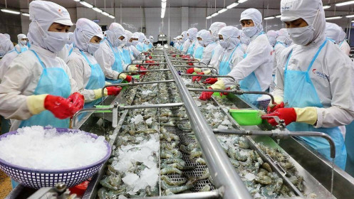 Xuất khẩu tôm Việt Nam đạt mức cao nhất trong 5 năm