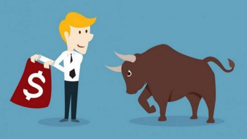 Bùng nổ theo đà hay Bulltrap? Điều các chuyên gia đề cập là đúng hay sai